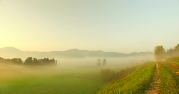 Observando Colores Audaces Naturaleza Niebla Niebla Rayos Sol Atrevidos Prados — Vídeo de stock