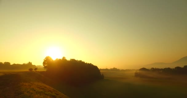 Beobachten Sie Kräftige Farben Der Natur Nebel Nebel Kühne Sonnenuntergänge — Stockvideo