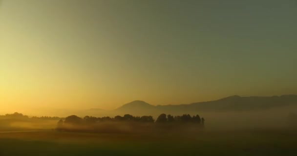 Observando Colores Audaces Naturaleza Niebla Niebla Rayos Sol Atrevidos Prados — Vídeos de Stock