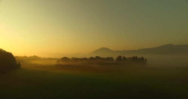 Observing Bold Colors Nature Fog Mist Bold Sunset Rays Meadows — Stock Video