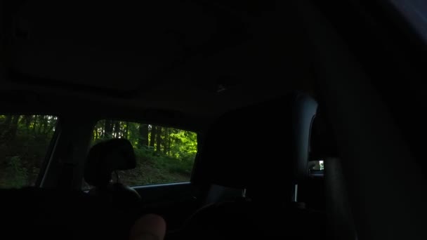 Observeren Buiten Een Auto Donker Interieur Donker Bos Weinig Licht — Stockvideo