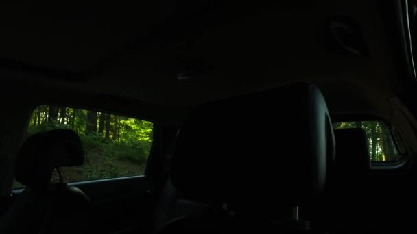 外で何が起こるかを見て怖がらせながら車の外 暗い車の内部 暗い森 小さな光を観察する — ストック動画