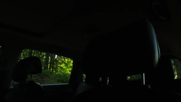 外で何が起こるかを見て怖がらせながら車の外 暗い車の内部 暗い森 小さな光を観察する — ストック動画