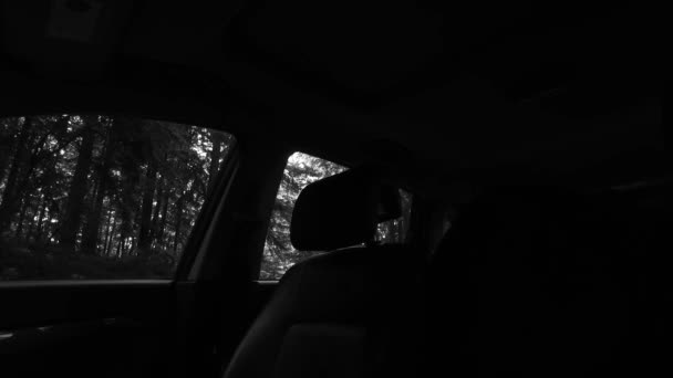 Observación Fuera Coche Interior Coches Oscuros Bosque Oscuro Poca Luz — Vídeo de stock