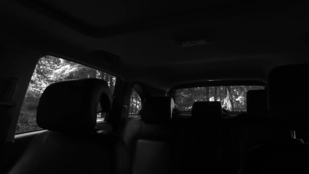 Observation Utanför Bil Mörk Bil Interiör Mörk Skog Lite Ljus — Stockvideo