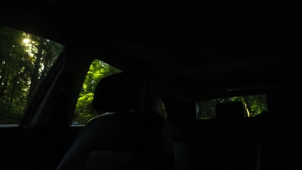 Наблюдая Снаружи Автомобиль Темный Салон Автомобиля Темный Лес Мало Света — стоковое видео