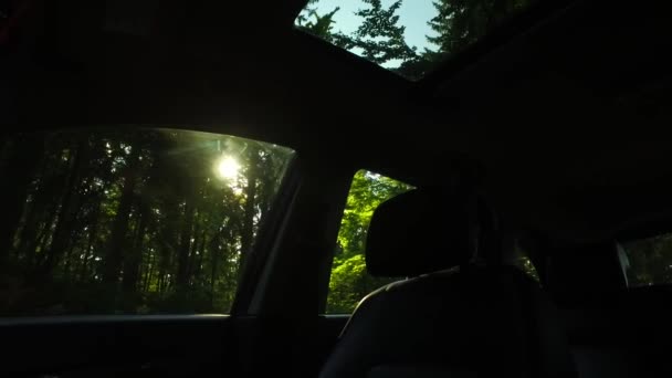 Observación Fuera Coche Interior Coches Oscuros Bosque Oscuro Poca Luz — Vídeo de stock