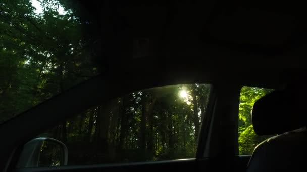 Osservare Fuori Una Macchina Interni Auto Scure Foresta Scura Poca — Video Stock