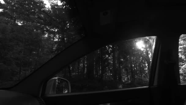 Наблюдая Снаружи Автомобиль Темный Салон Автомобиля Темный Лес Мало Света — стоковое видео