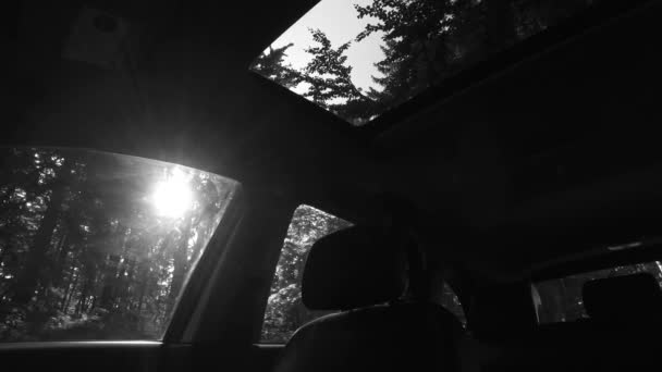 Παρατηρώντας Έξω Από Ένα Αυτοκίνητο Σκοτεινό Εσωτερικό Αυτοκίνητο Σκοτεινό Δάσος — Αρχείο Βίντεο