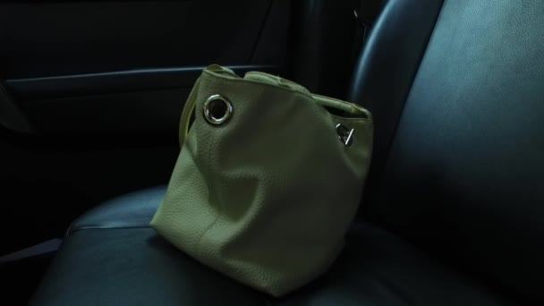 Borsa Donna Sul Seggiolino Auto Interno Scuro — Video Stock