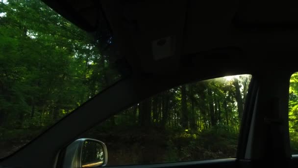 Detailed Interior Car Dark Forest — Vídeo de Stock