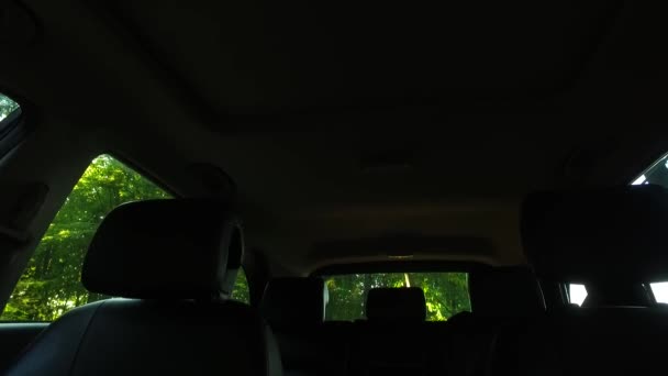 Detailed Interior Car Dark Forest — Vídeos de Stock