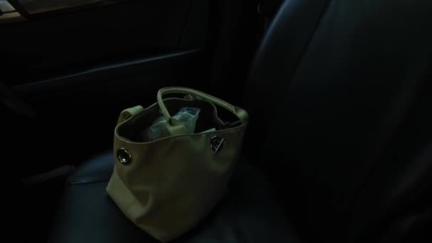 Female Bag Car Seat Dark Interior — ストック動画