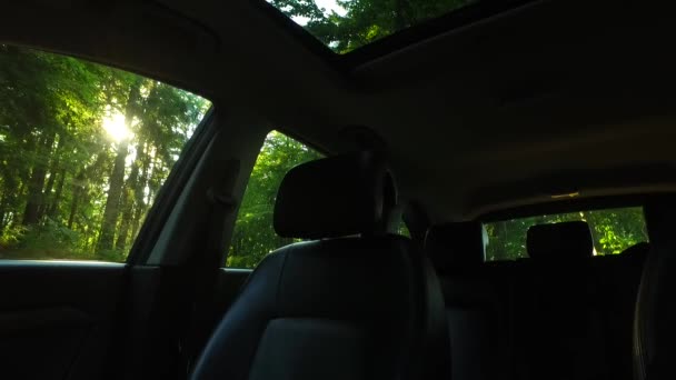 Детальний Інтер Автомобіля Темному Лісі — стокове відео