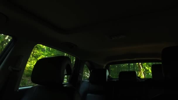 Detailed Interior Car Dark Forest — Stock Video