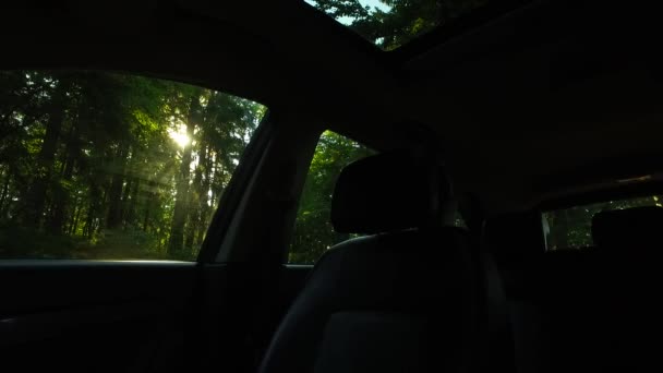 Detailed Interior Car Dark Forest — Video Stock
