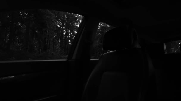Детальный Интерьер Автомобиля Темном Лесу — стоковое видео