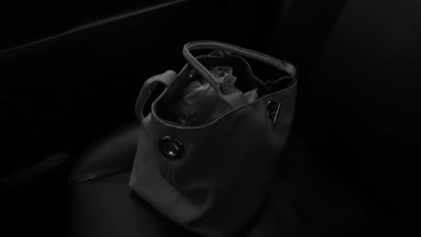 Female Bag Car Seat Dark Interior — ストック動画
