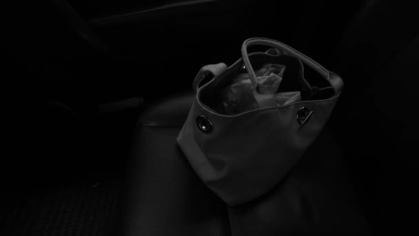 Female Bag Car Seat Dark Interior — Video