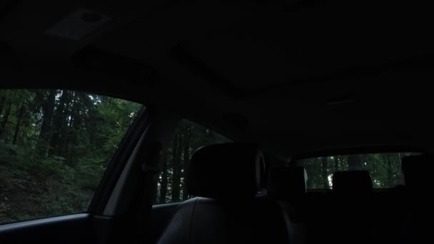 Detailed Interior Car Dark Forest — Vídeos de Stock