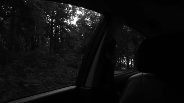 Detailed Interior Car Dark Forest — ストック動画