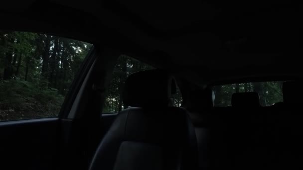 Detailed Interior Car Dark Forest — Vídeo de Stock