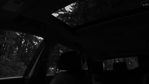 黑暗森林中汽车的详细内饰 — 图库视频影像
