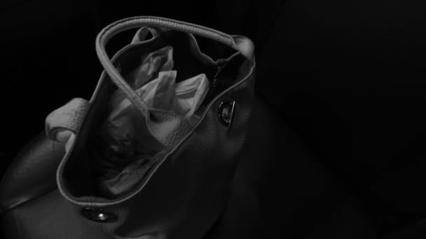 Female Bag Car Seat Dark Interior — Stockvideo