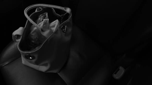 Female Bag Car Seat Dark Interior — Vídeo de stock