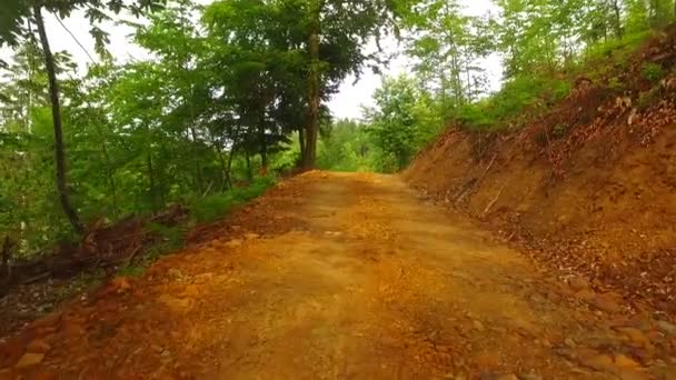 Caminhando Caminho Floresta Outono — Vídeo de Stock