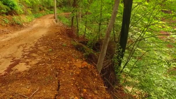 Walking Dangerous Path Sharp Rocks — Stockvideo