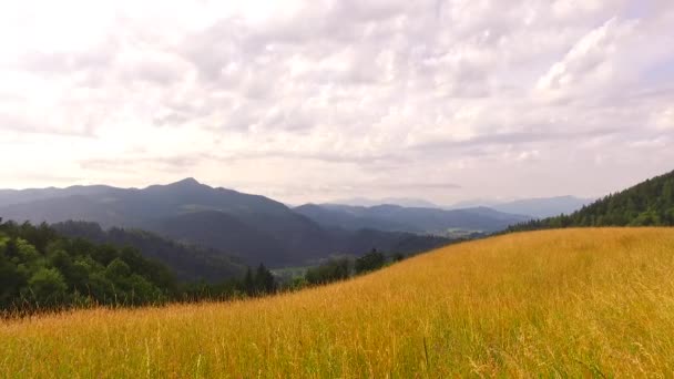 Day Pastures Mountains — ストック動画