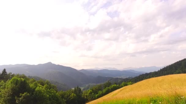 在山上的牧场上度过的一天 — 图库视频影像