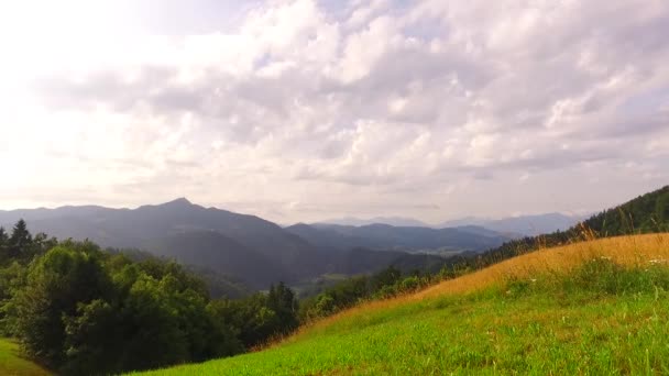Day Pastures Mountains — ストック動画