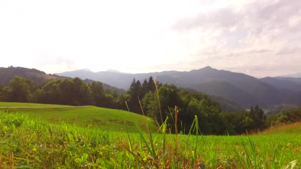 Day Pastures Mountains — Vídeo de stock