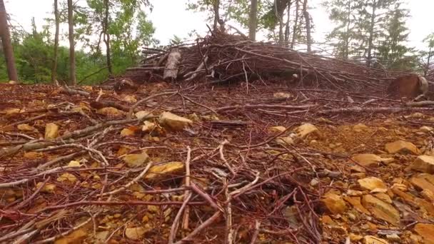 Caminando Por Camino Peligroso Con Rocas Afiladas — Vídeo de stock