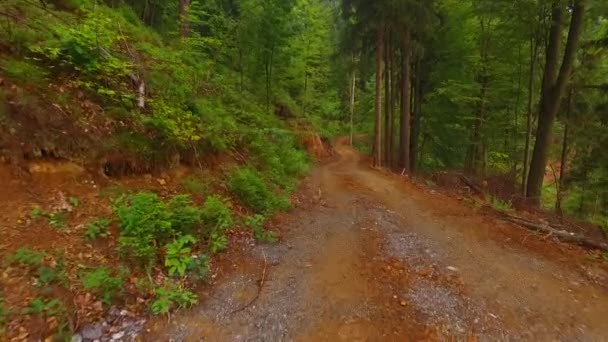 Caminando Por Camino Peligroso Con Rocas Afiladas — Vídeo de stock