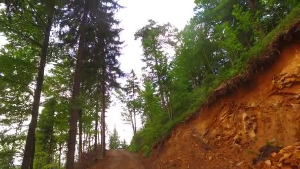 Caminando Por Camino Peligroso Con Rocas Afiladas — Vídeo de stock