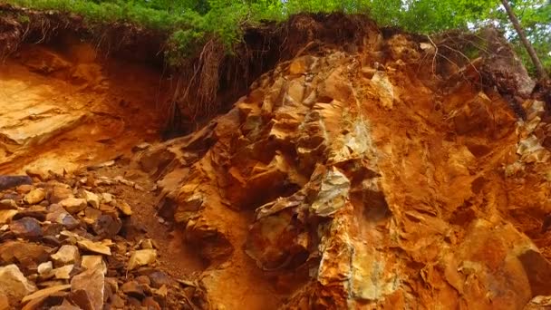 森林中的大碎片和岩石 — 图库视频影像