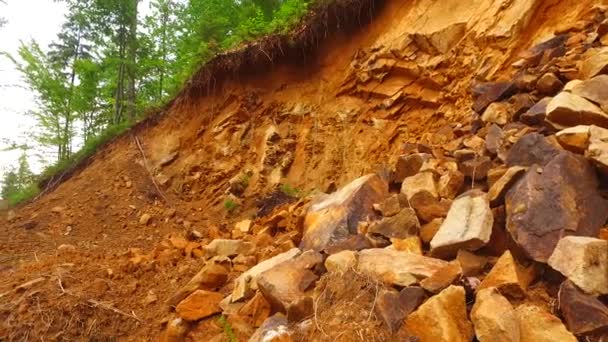 Big Debris Rocks Forest — Stock Video