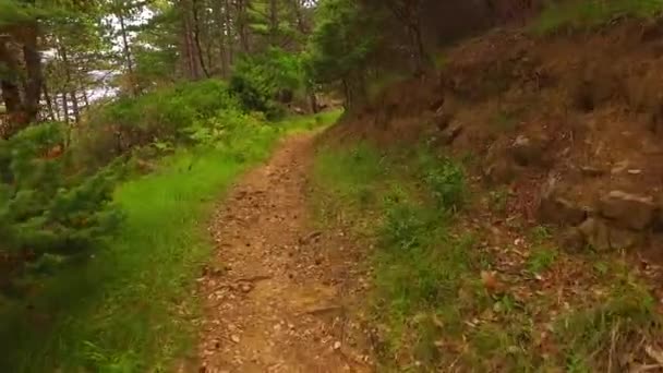 Walking Dangerous Path Sharp Rocks — Stockvideo