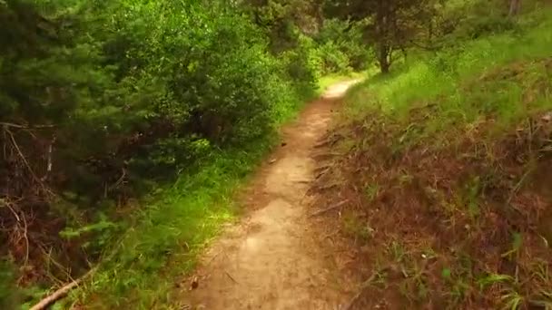 Walking Dangerous Path Sharp Rocks — Stockvideo