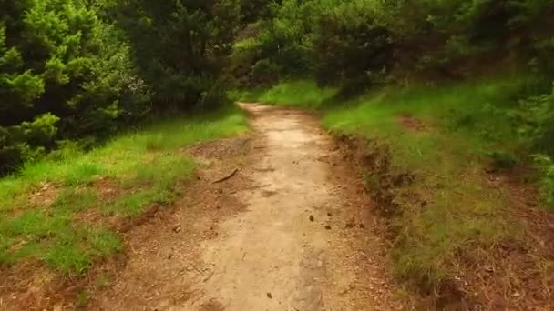 Caminando Por Camino Peligroso Con Rocas Afiladas — Vídeo de stock