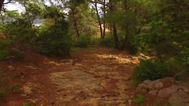 Caminando Por Camino Peligroso Con Rocas Afiladas — Vídeo de stock