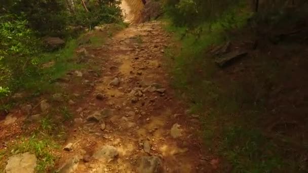 Walking Dangerous Path Sharp Rocks — 图库视频影像