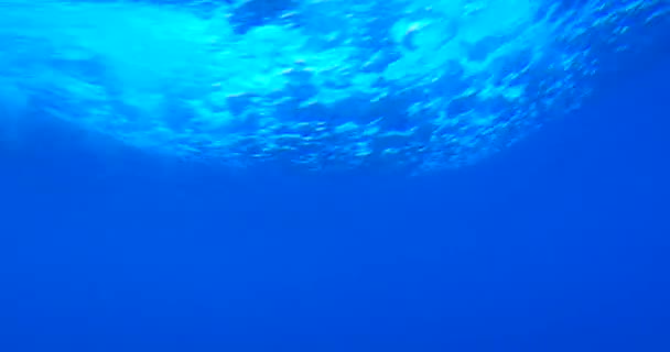Wirkung Von Blasen Unter Meerwasser Glasboot — Stockvideo