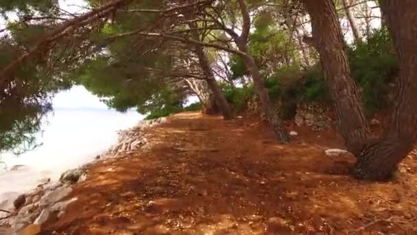 Caminando Por Camino Peligroso Con Rocas Afiladas — Vídeo de stock