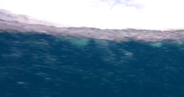 Wpływ Pęcherzyków Pod Wodą Morską Szklanej Łodzi — Wideo stockowe