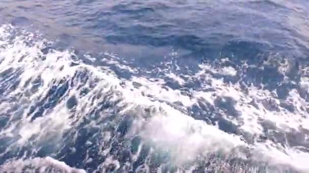 Наблюдение Дорожками Поверхности Моря — стоковое видео